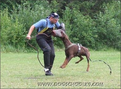 Summer training camp in Estonia 2007